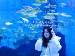 -重庆欢乐海底世界