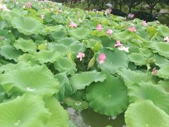 -佰迪乐KTV·大屏K歌(公园店)