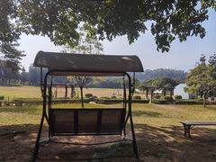 -福建鲤鱼洲酒店