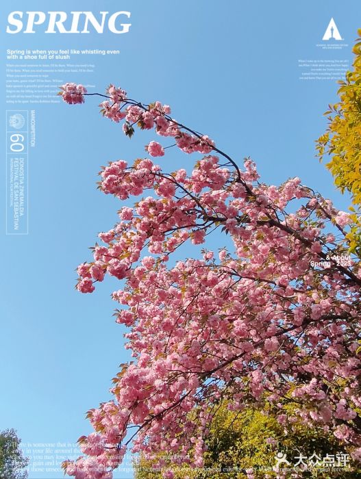 南京银杏湖乐园图片