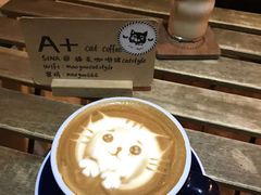 -猫友咖啡店(玉林西路店)