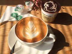 -喵的天空名猫咖啡馆·撸猫·猫舍·用品