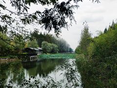 -黄海国家森林公园