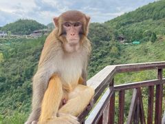 -重庆云阳龙缸景区