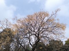 -云龙山