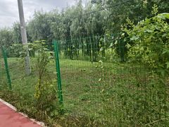 -绿堤公园