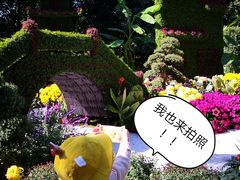 -汇龙潭