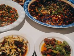 -新概念来凤鱼(璧山店)