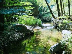 -灵溪风景区