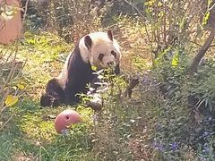 -昆明动物园