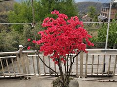 -藏龙百瀑风景区