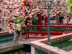 -宝墨园景区