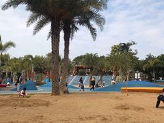 -宝安西湾红树林湿地公园