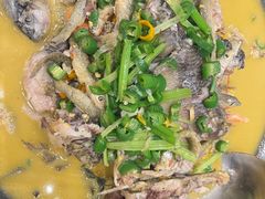 -饭怕鱼(阳光100店)
