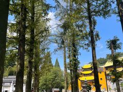 -九华山风景区