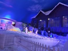 -世界之窗阿尔卑斯冰雪世界