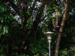 -深圳国际园林花卉博览园