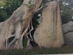 -宝岩生态观光园