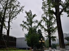 -龙头寺公园