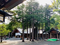 -北海道神宫