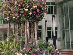 -人民公园(罗湖区)