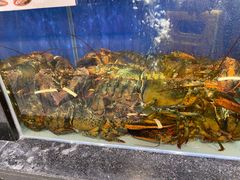-盒马鲜生(和谐广场店)