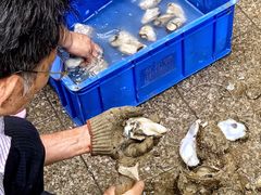 -濠轩阁特色生蚝火锅(水湾路店)