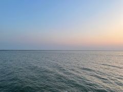 -合肥滨湖国家森林公园