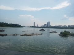 -飞来湖湿地公园