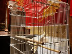 -文儒九号·闽菜馆(三坊七巷店)