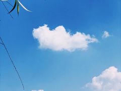 -春兰国宾馆(凤城河风景区老街店)