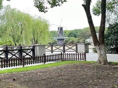 -上海鲜花港