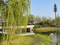 -尚贤河湿地