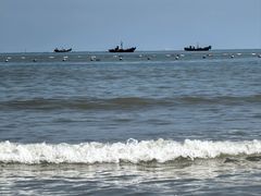 -日照海滨国家森林公园