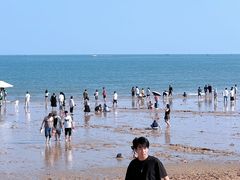 -巧克力渔家.小船海鲜胶东菜(万平口店)