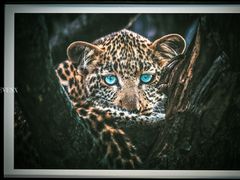 -罗红摄影艺术馆