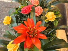 -大师傅金奖啤酒鱼(西街口总店)