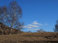 -塞罕坝国家级自然保护区