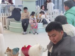 -怪兽屋·羊驼·猫咖·狗咖(俊华广场店)