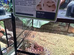 -正佳雨林生态植物园