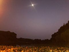 -上海市保健医疗中心