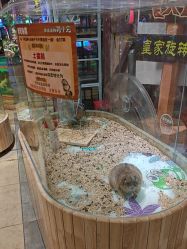 -卡通尼·Safari非洲探索乐园·生日会(金桥国际商业广场店)