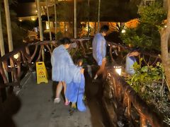 -宜春明月山维景国际温泉度假酒店
