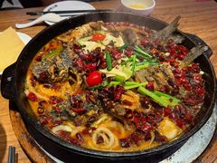 -老板恋上鱼(恒隆广场店)