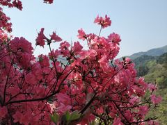 -木兰云雾山