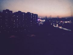-北京梧桐树双语幼儿园