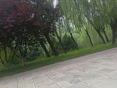 -元大都城垣遗址公园