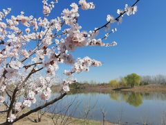 -东郊湿地公园