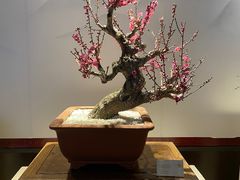 -颐和园
