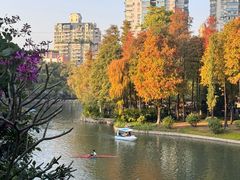 -晓港公园